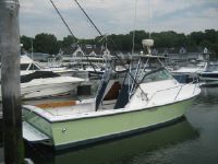 Aquasport 281 Fisherman