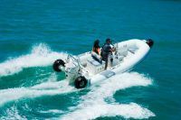 Sealegs 6.1M Amphibious Rib