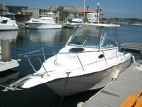 Seaswirl 2301 Walkaround