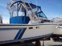 Wellcraft Coastal 2800