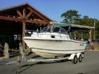 Sea Pro 210 Walk Around