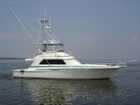 Bertram 54 Bertram Convertible