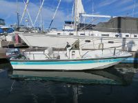 Boston Whaler 17 Montauk W/Trailer