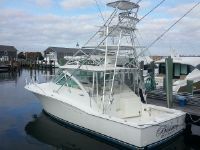 Cabo Rico 36' Express