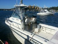 Stratos 2500 Repowered 4 Strokes