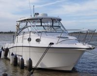 Seaswirl Striper 2901
