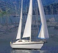22 M Sail [Ya20481]