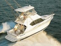 Wellcraft 350 Coastal