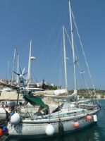 Lm 315 Mermaid