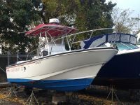 Boston Whaler Outrage 24