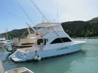 Viking 48' Convertibile