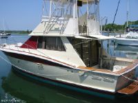 Trojan 36 Flybridge Convertible