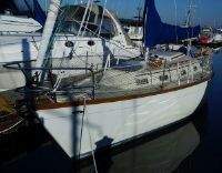 Intrepid 9 Meter