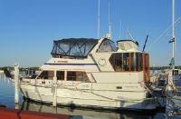 Oceania Oceania 42