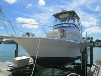 Sea Ray 31 Express Bridge