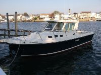 Albin 31 Tournament Express