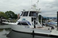 Bracewell Sportfisherman