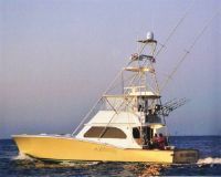 Vicem Sportfisherman