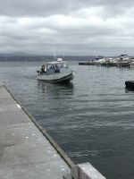 Wooldridge 21 Super Sport Offshore Cuddy