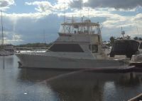 Viking Sportfish 45