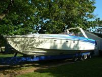 C&B (Magnum, Cary, Wellcraft, Formula, Sunseeker) 41 Champion