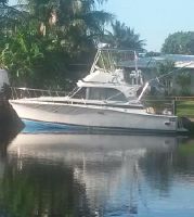 Bertram Flybridge Fisherman