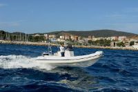 Nuova Jolly Freedom 590