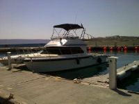 Chris-Craft 315 Sf Convertible