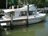 Camano
