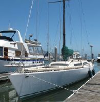 Santa Cruz 50