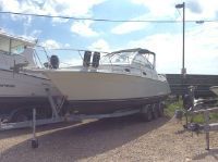 Carver 280 Special Edition