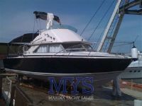 Bertram Yacht 28 Fly