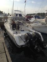 Boston Whaler Fisherman