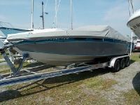 Chris-Craft Stinger 260