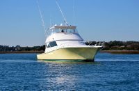 Viking Painted 55 Convertible