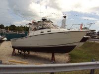 Shamrock Rampage 290