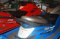 Kawasaki Ultra 250 (Pair)