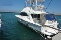 Riviera Marine 41 Flybridge
