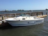 Bayliner 20 Trophy