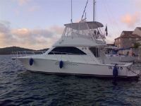 Viking 45' Convertibile