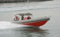 Northport / Williard 24