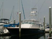 Buddy Davis 45 Express