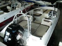 Bayliner Element 180 Element