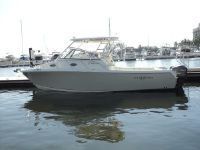Sailfish 3006 Express