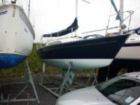 Pacesetter 28