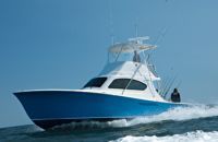 Billfish 37