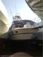 Aquasport 29 Tournament Master