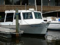 Lindsey Charter 29
