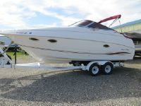 Chris-Craft 25 Crown