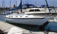 Ericson 381